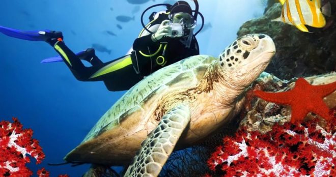 Antalya Dalış Turu – Yeni Başlayanlar ve Deneyimli Dalgıçlar Hoş Geldiniz
